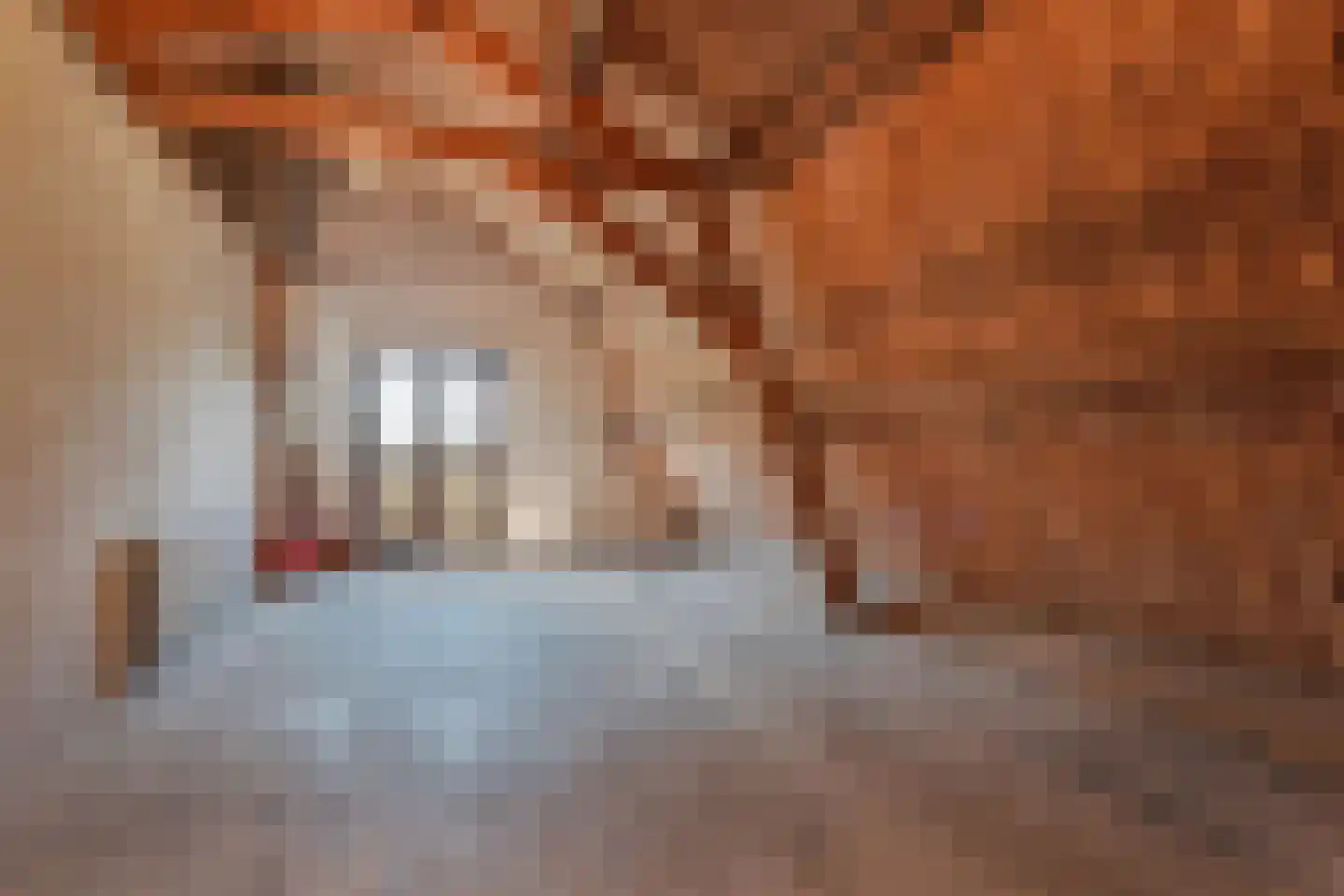 't Louwtje 2 's-Gravenzande thumbnail 33