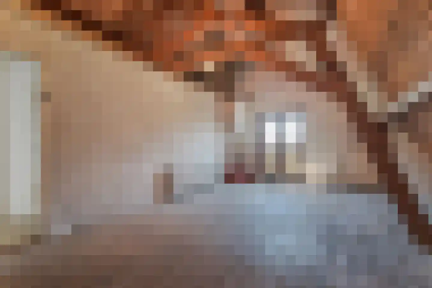 't Louwtje 2 's-Gravenzande thumbnail 34