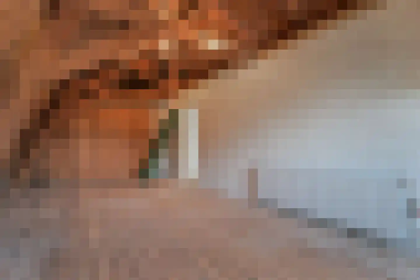 't Louwtje 2 's-Gravenzande thumbnail 35