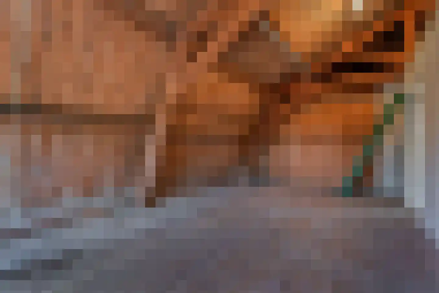 't Louwtje 2 's-Gravenzande thumbnail 36