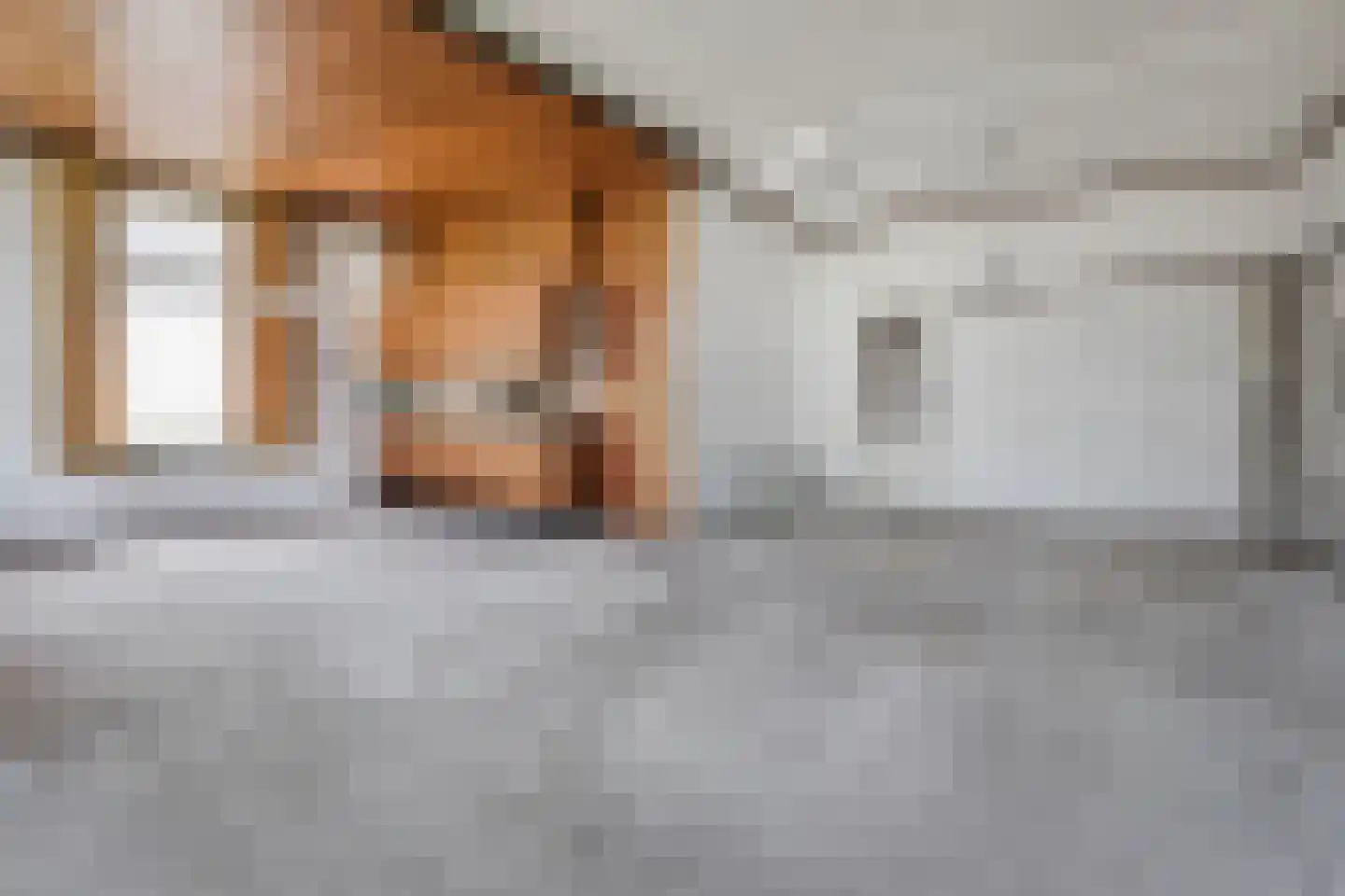 't Louwtje 2 's-Gravenzande thumbnail 5
