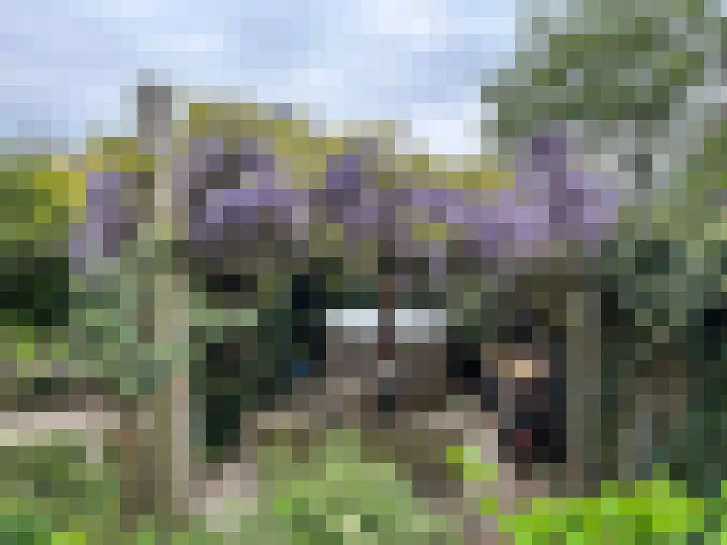 T.M.C. Asserplantsoen 18 Zetten thumbnail 69