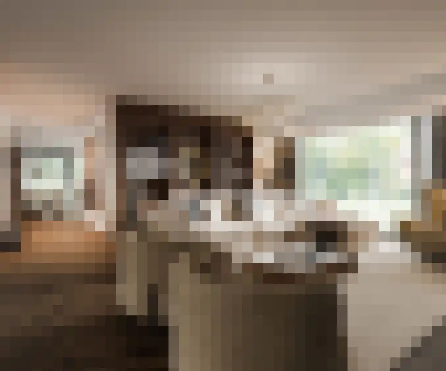 't Maetland 7 Gaanderen thumbnail 11