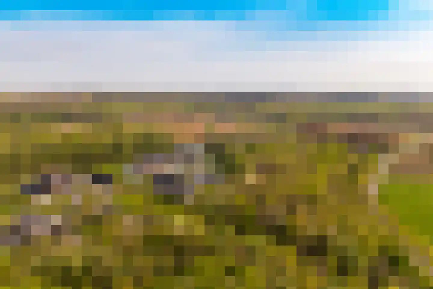 't Maetland 7 Gaanderen thumbnail 39