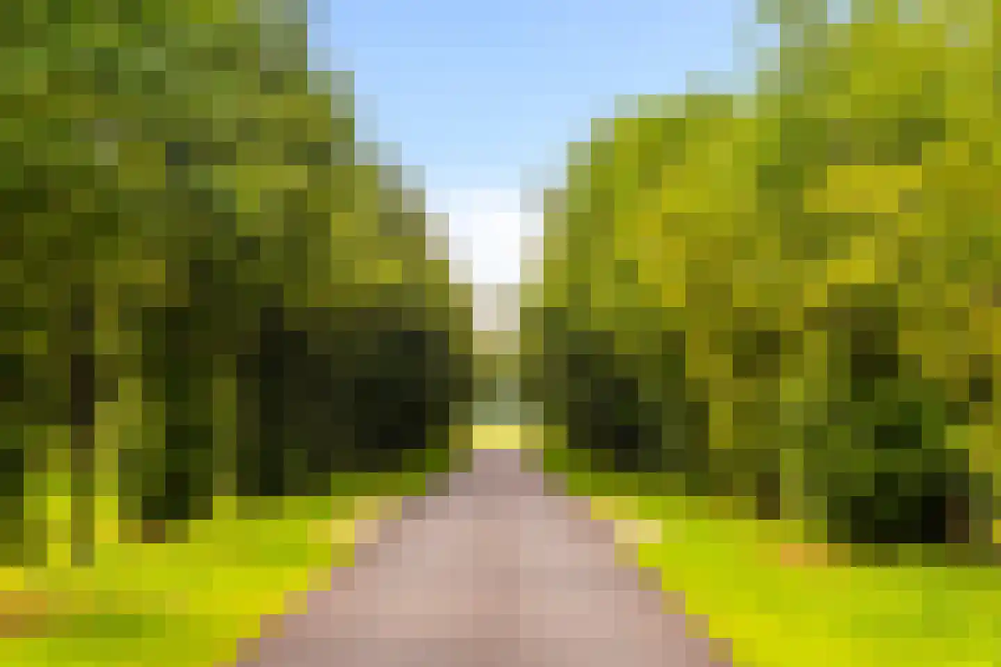 't Maetland 7 Gaanderen thumbnail 5