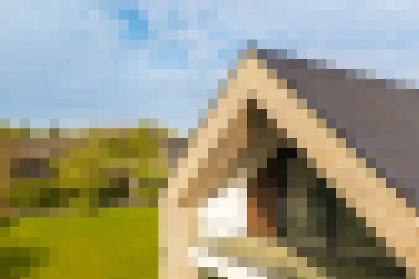 't Maetland 7 Gaanderen thumbnail 8