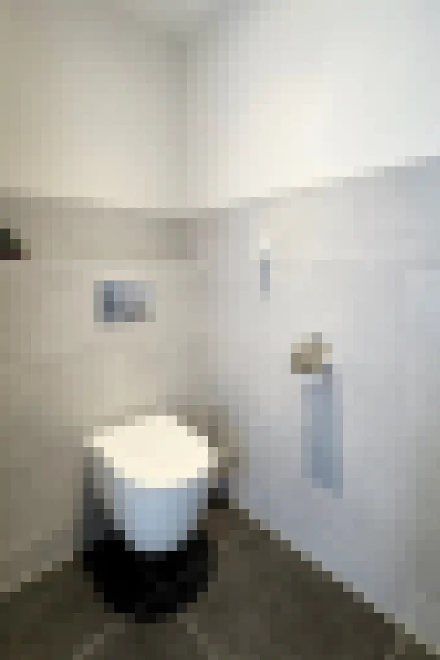 't Magesijn 36 b Klundert thumbnail 11
