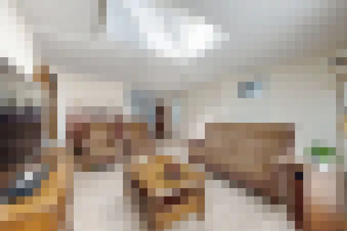 't Magesijn 36 b Klundert thumbnail 18