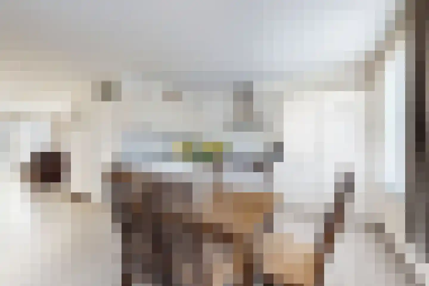 't Magesijn 36 b Klundert thumbnail 25