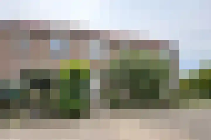't Magesijn 40 Klundert