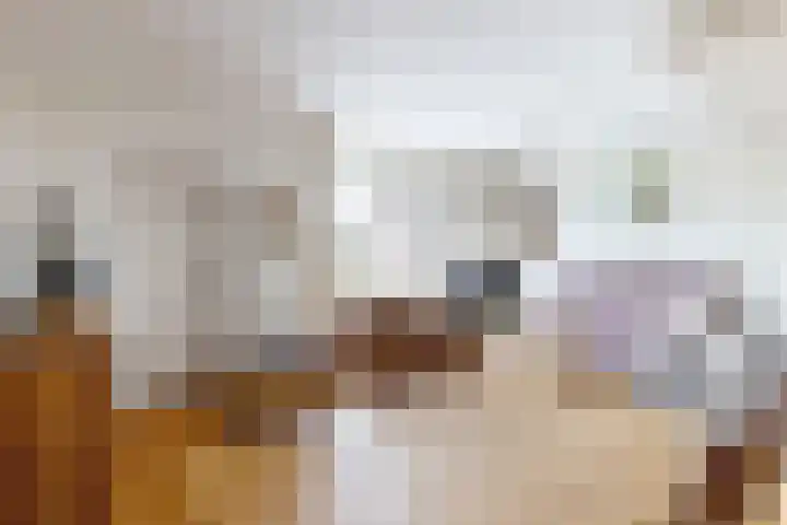 't Magesijn 40 Klundert thumbnail 11