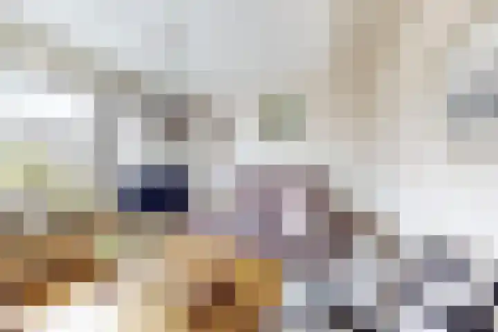 't Magesijn 40 Klundert thumbnail 14