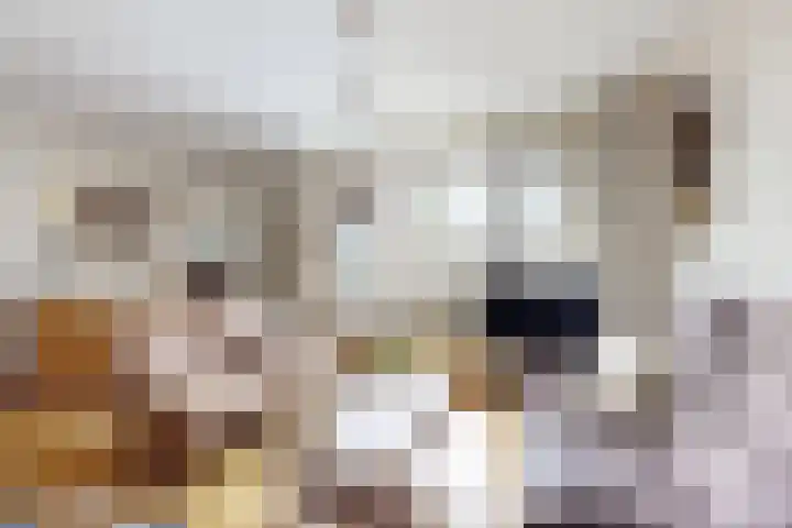 't Magesijn 40 Klundert thumbnail 16