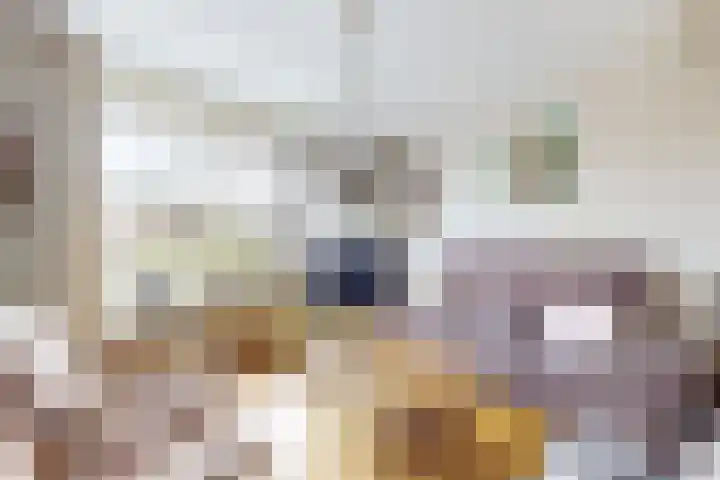 't Magesijn 40 Klundert foto 2
