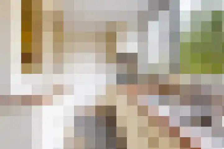 't Magesijn 40 Klundert thumbnail 20
