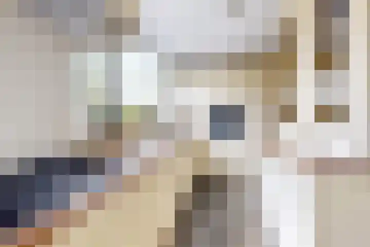 't Magesijn 40 Klundert thumbnail 21