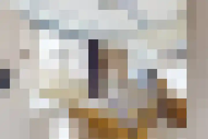 't Magesijn 40 Klundert thumbnail 25
