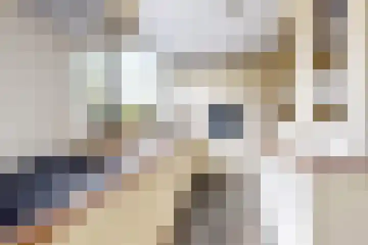 't Magesijn 40 Klundert foto 3