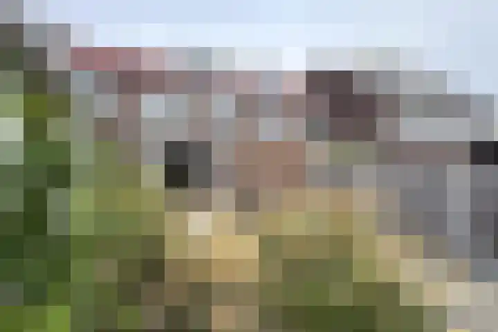 't Magesijn 40 Klundert thumbnail 42
