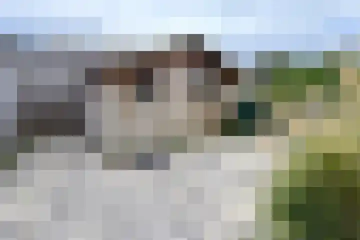't Magesijn 40 Klundert thumbnail 46