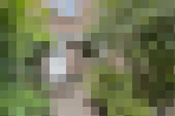 't Magesijn 40 Klundert thumbnail 47