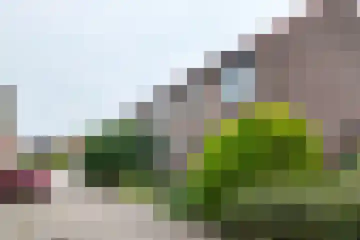 't Magesijn 40 Klundert thumbnail 49