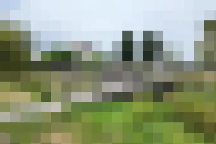 't Magesijn 40 Klundert thumbnail 51