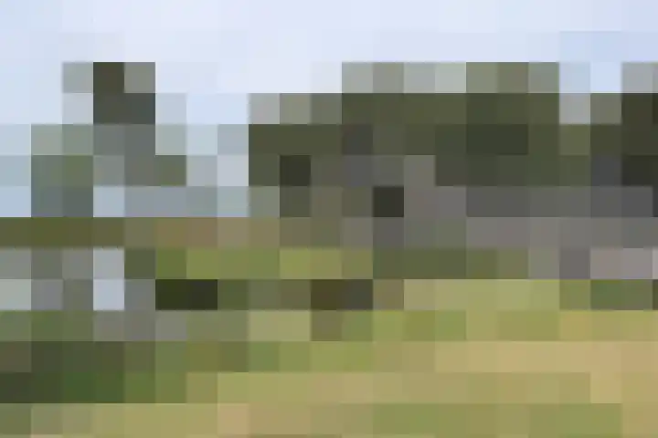 't Magesijn 40 Klundert thumbnail 52