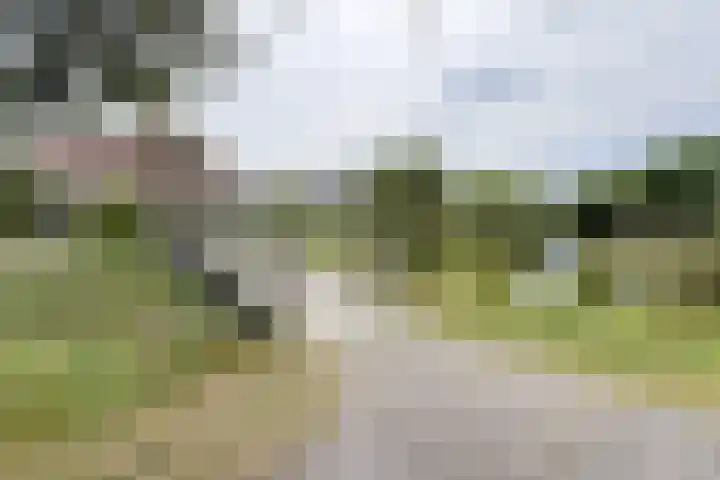 't Magesijn 40 Klundert thumbnail 53