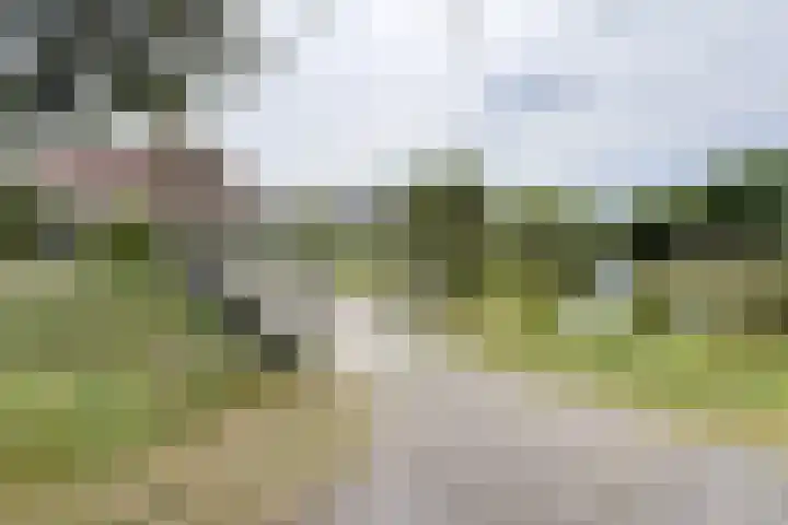 't Magesijn 40 Klundert thumbnail 6