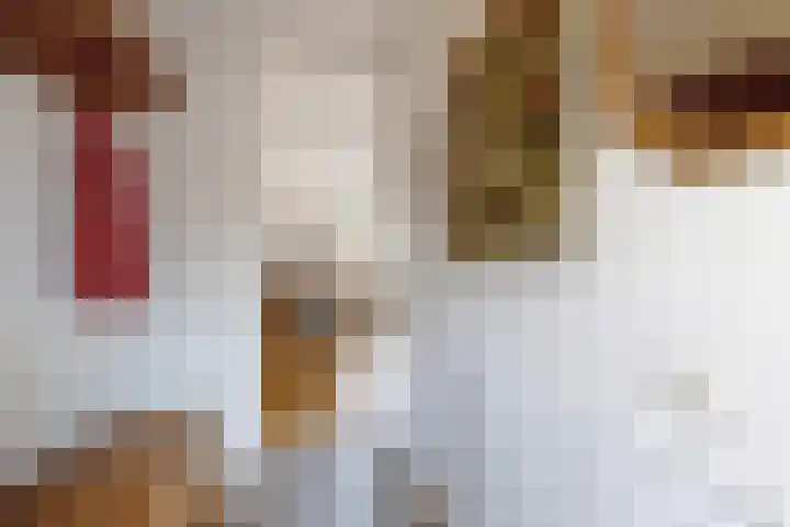 't Magesijn 40 Klundert thumbnail 8