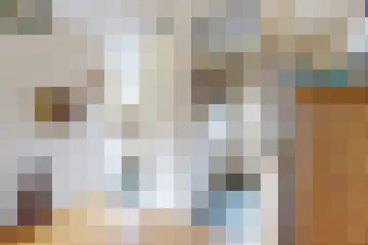 't Magesijn 40 Klundert thumbnail 9