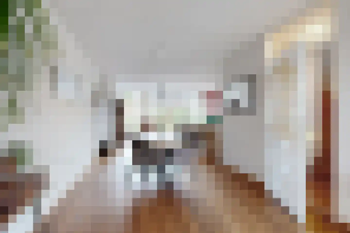't Magesijn 72 Klundert thumbnail 10