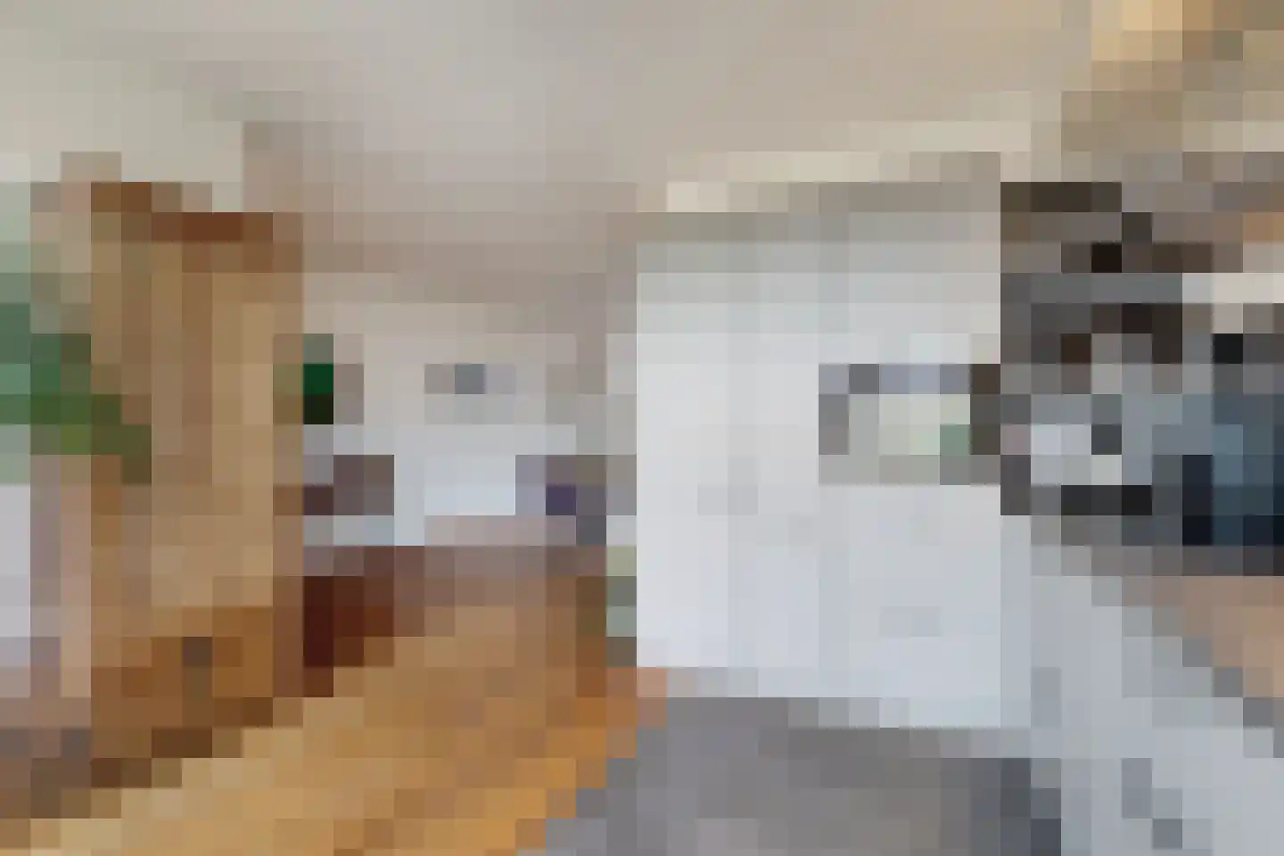 't Magesijn 72 Klundert thumbnail 25