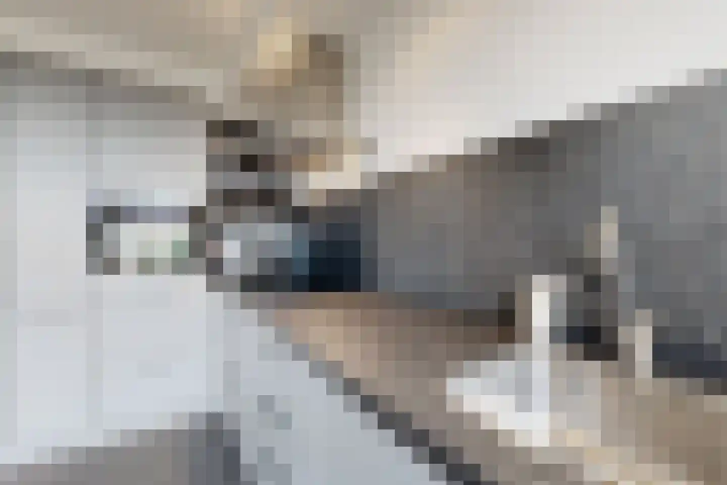 't Magesijn 72 Klundert thumbnail 26