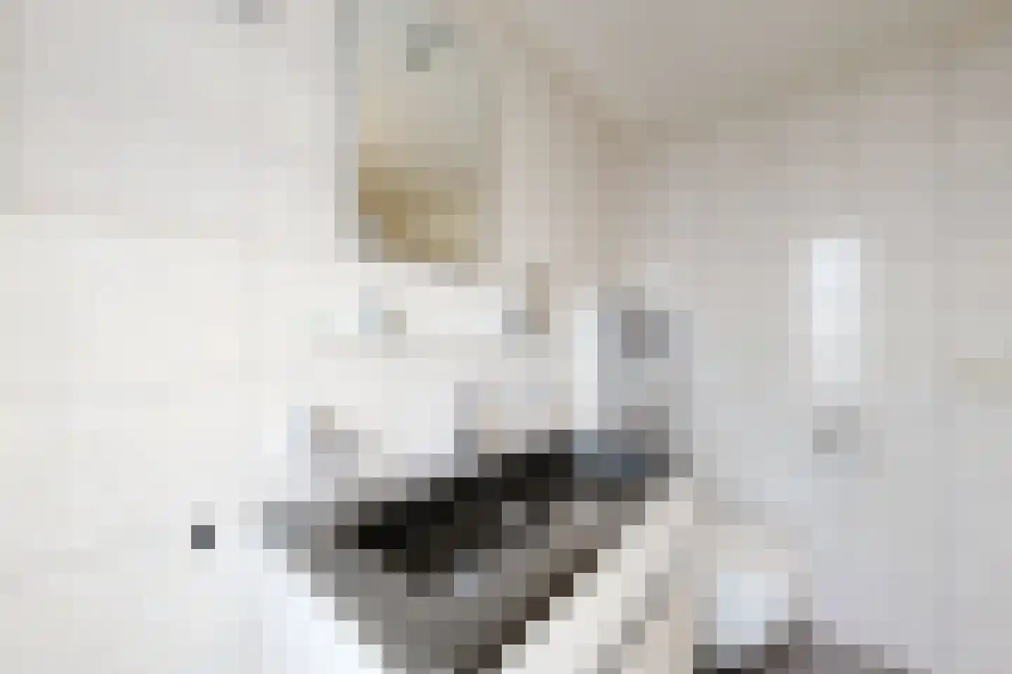 't Magesijn 72 Klundert thumbnail 43