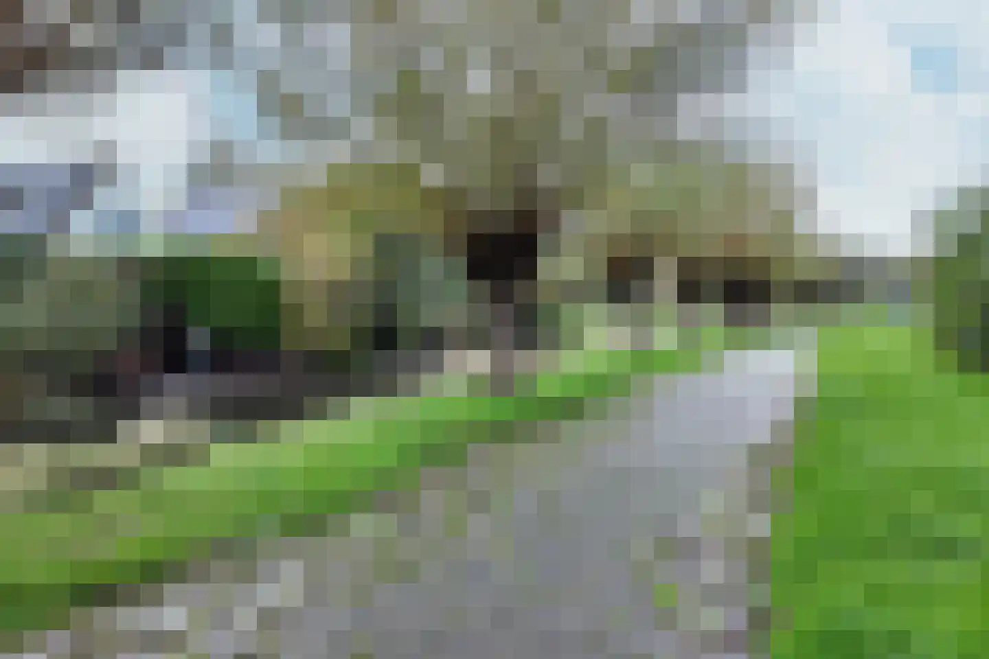 't Magesijn 72 Klundert thumbnail 66