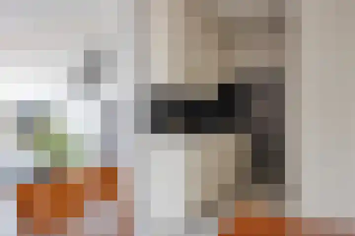 't Magesijn 76 Klundert thumbnail 12