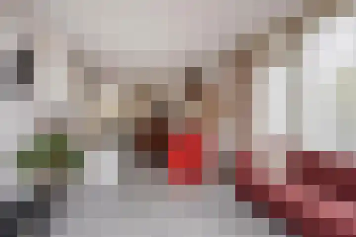 't Magesijn 76 Klundert thumbnail 17