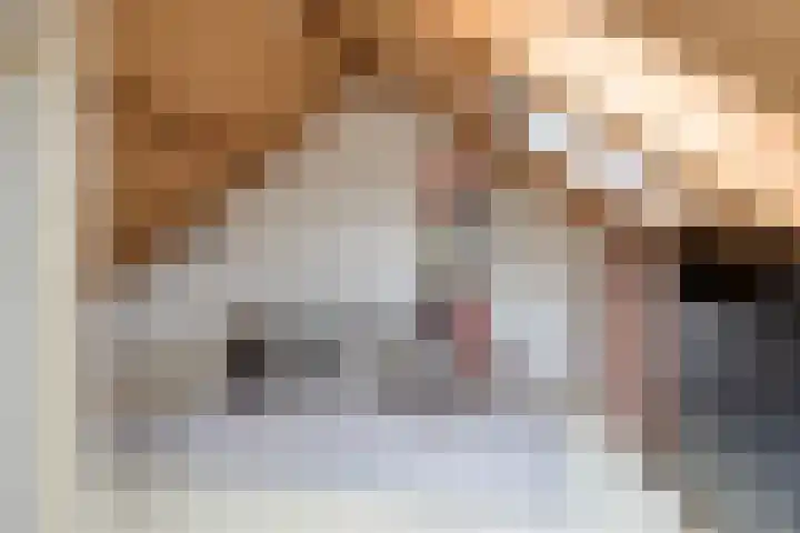 't Magesijn 76 Klundert thumbnail 33