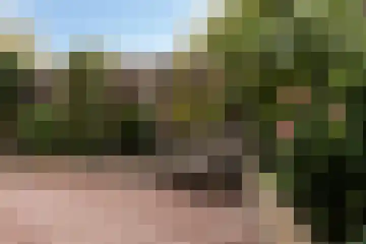 't Magesijn 76 Klundert thumbnail 37