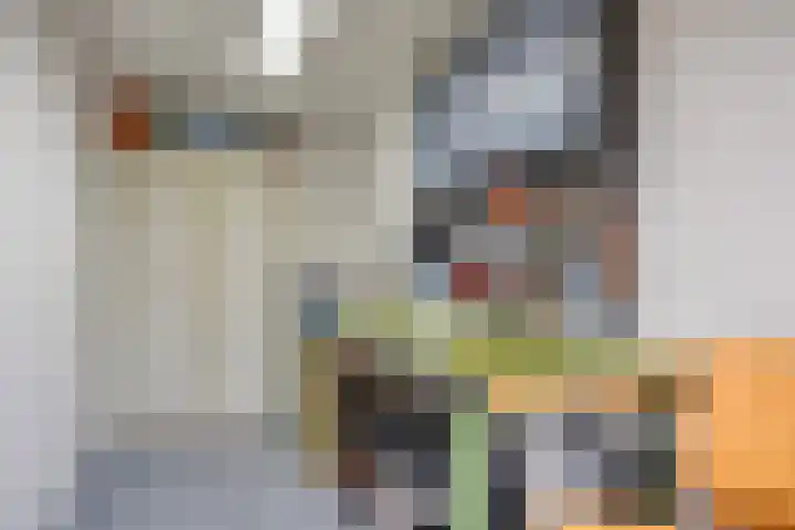 't Magesijn 76 Klundert thumbnail 44