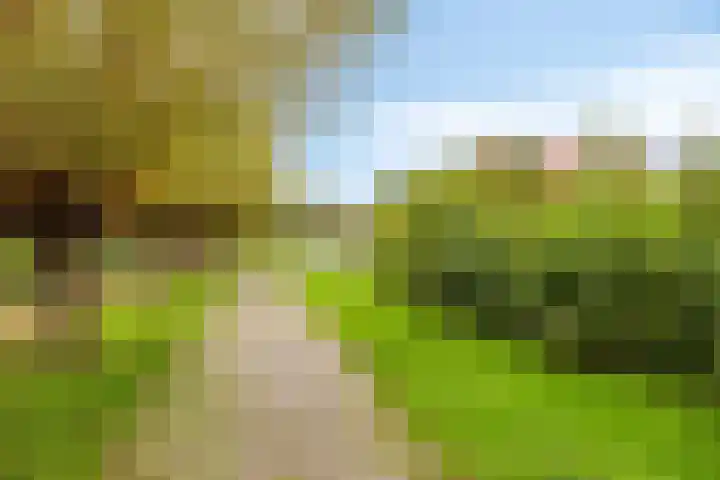 't Magesijn 76 Klundert thumbnail 48