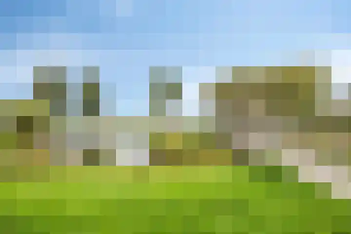 't Magesijn 76 Klundert thumbnail 49