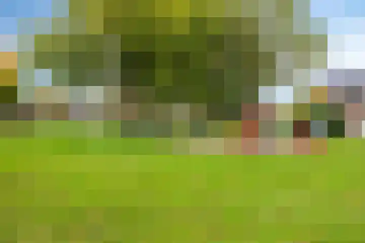 't Magesijn 76 Klundert thumbnail 50