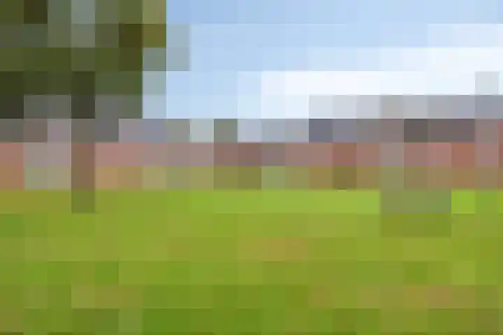 't Magesijn 76 Klundert thumbnail 51