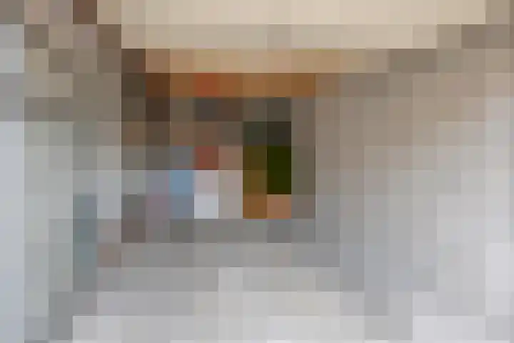 't Magesijn 76 Klundert thumbnail 54