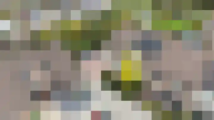 't Magesijn 76 Klundert thumbnail 55