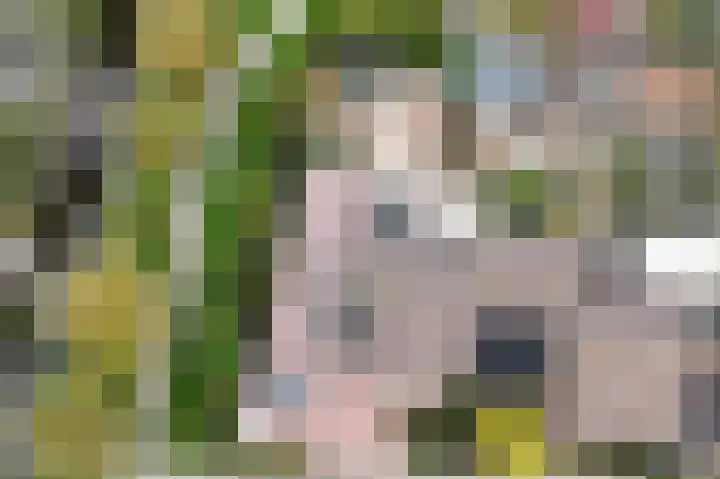 't Magesijn 76 Klundert thumbnail 56