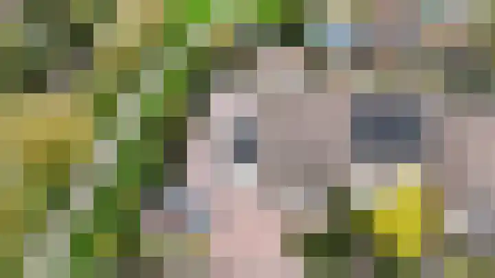 't Magesijn 76 Klundert thumbnail 57